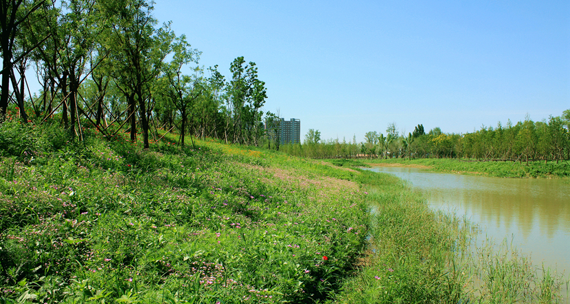 北京·環渤海高端總部基地北部城市濕地公園